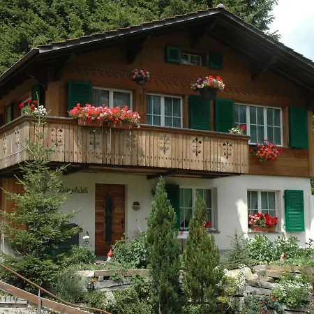Appartamento Baergchutzli Parterre By Interhome