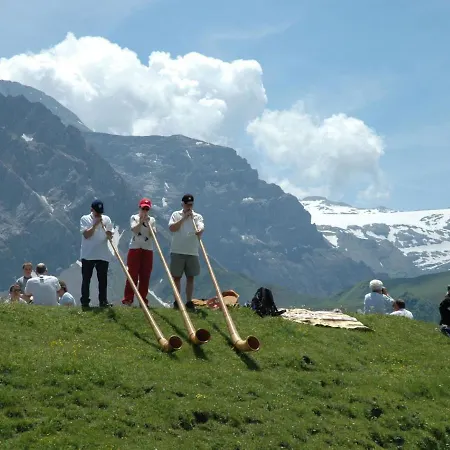 Appartamento Baergchutzli Parterre By Interhome Adelboden