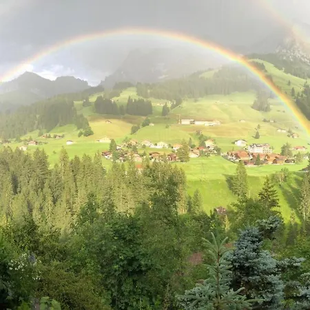 아파트 Baergchutzli Parterre By Interhome 아델보덴