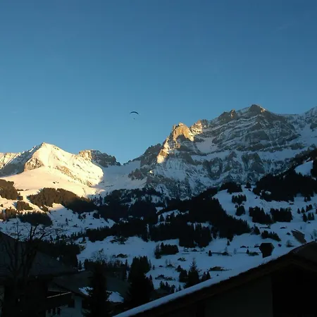 아파트 Baergchutzli Parterre By Interhome *