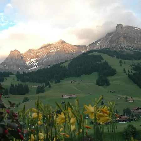 Baergchutzli Parterre By Interhome Lägenhet *