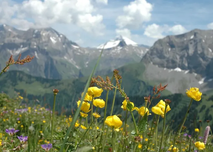 Baergchutzli Parterre By Interhome Διαμέρισμα *