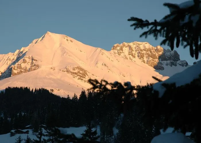 Baergchutzli Parterre By Interhome Apartamento Adelboden