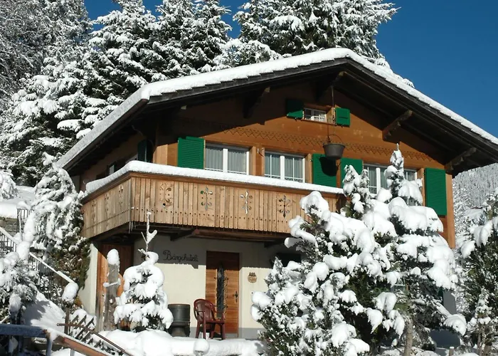 Baergchutzli Parterre By Interhome Διαμέρισμα