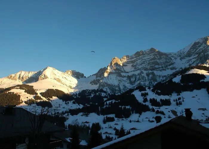 Apartamento Baergchutzli Parterre By Interhome *