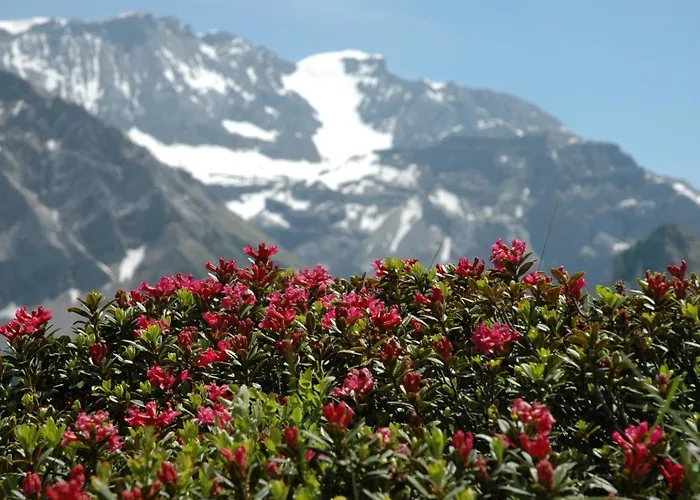 Διαμέρισμα Baergchutzli Parterre By Interhome *