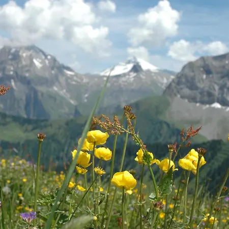 Baergchutzli Parterre By Interhome Daire *