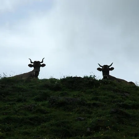 Baergchutzli Parterre By Interhome Adelboden