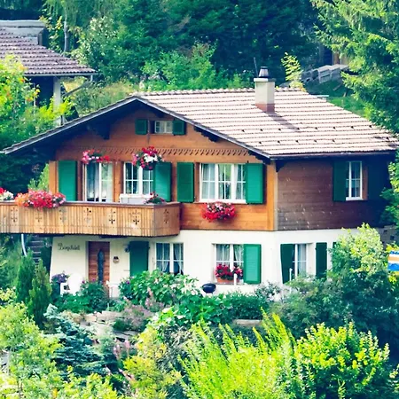 Baergchutzli Parterre By Interhome