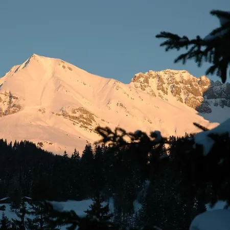 Bargchutzli Parterre Apartment Adelboden